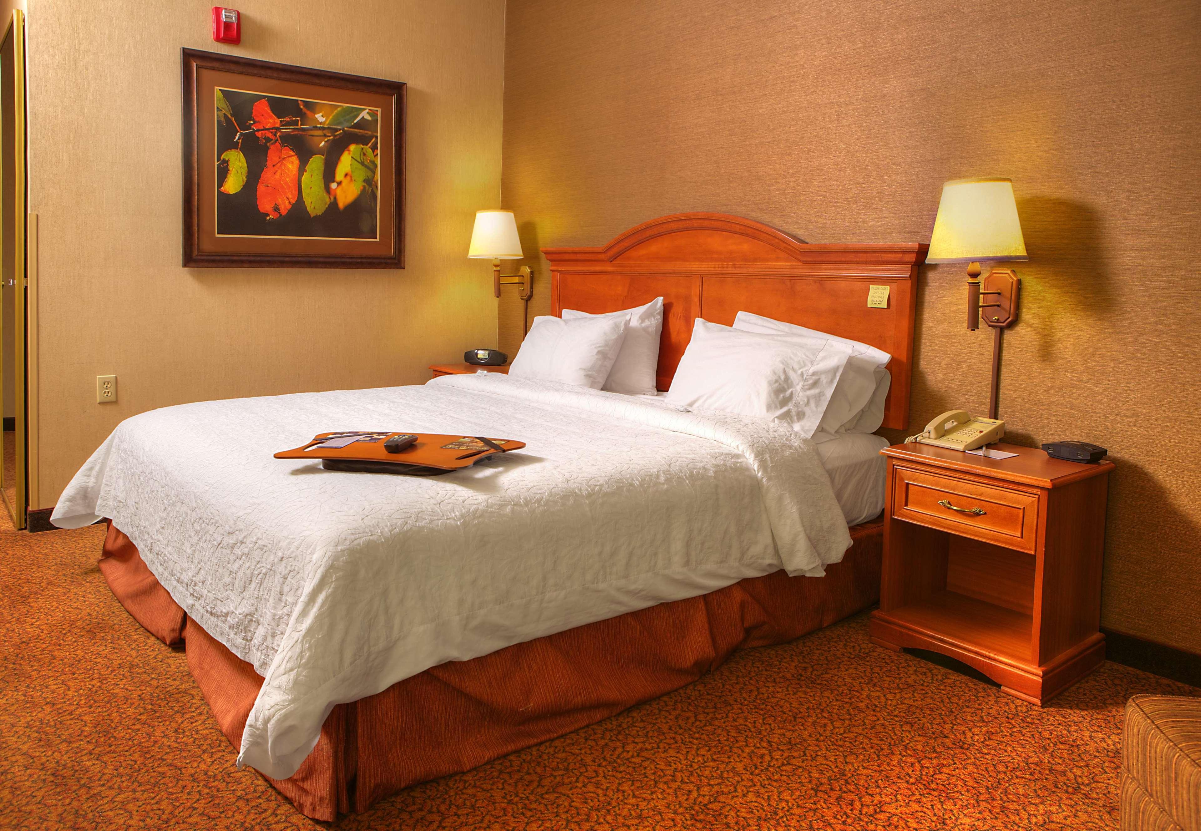 Comfort Inn & Suites Rapid City Near Mt Rushmore Экстерьер фото